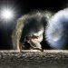 Breaking Down the Different Styles of Dance: From Ballet to Hip Hop