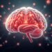 What neural pathways are activated by music?