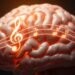 How does music affect the brain?