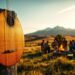 What are the defining features of country music?